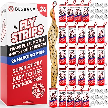 Fly Strips Indoor Sticky Hanging 24pk with Pins. Non Toxic Outdoor Fly Trap Indoor for Home. Flies Tape Paper Trap Ribbon Roll for House Gnat Fruit and Housefly. Bug Catchers for Inside Home Flypaper.